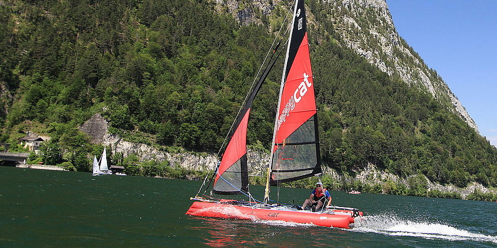 HAPPY CAT TEST /Ebensee am Traunsee