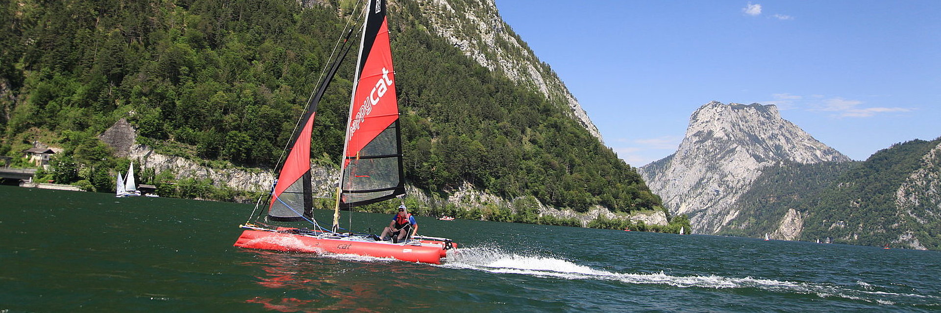 HAPPY CAT TEST /Ebensee am Traunsee